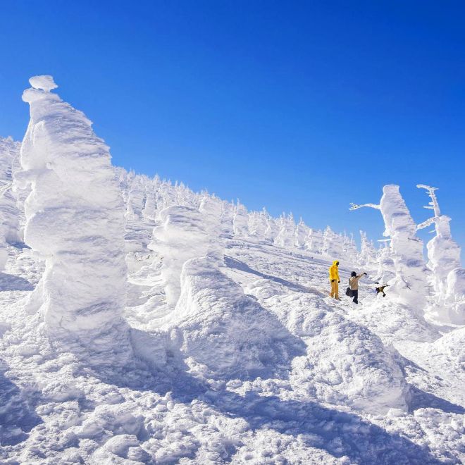 遇見雪怪。冬季奇幻樹冰