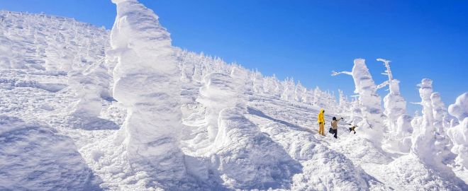 遇見雪怪。冬季奇幻藏王樹冰